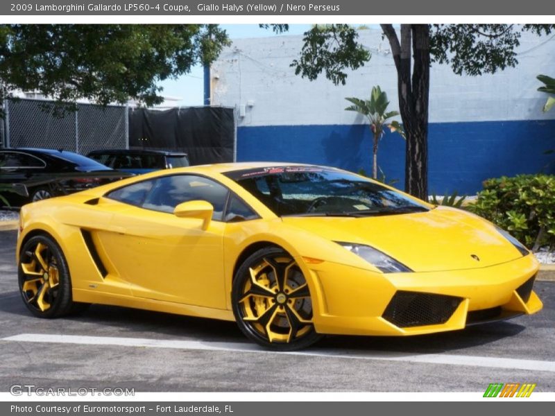 Giallo Halys (Yellow) / Nero Perseus 2009 Lamborghini Gallardo LP560-4 Coupe