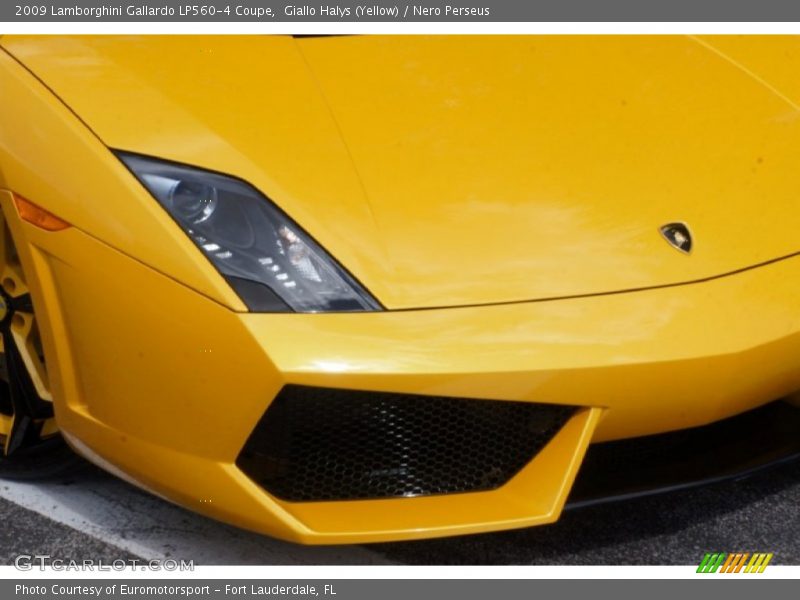 Giallo Halys (Yellow) / Nero Perseus 2009 Lamborghini Gallardo LP560-4 Coupe