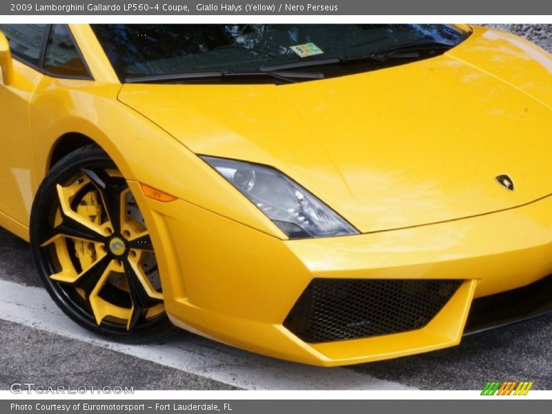 Giallo Halys (Yellow) / Nero Perseus 2009 Lamborghini Gallardo LP560-4 Coupe