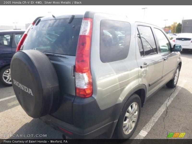 Silver Moss Metallic / Black 2005 Honda CR-V EX 4WD