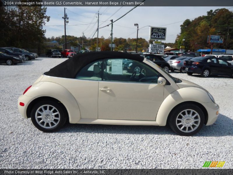 Harvest Moon Beige / Cream Beige 2004 Volkswagen New Beetle GLS Convertible
