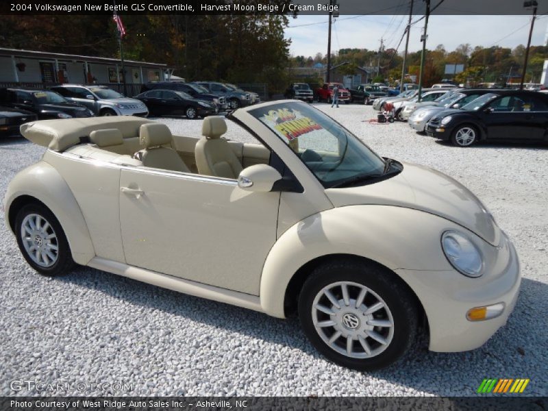 Harvest Moon Beige / Cream Beige 2004 Volkswagen New Beetle GLS Convertible