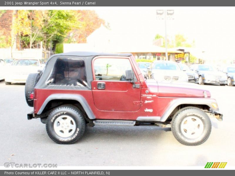 Sienna Pearl / Camel 2001 Jeep Wrangler Sport 4x4