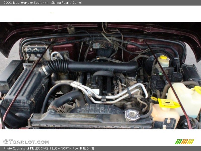Sienna Pearl / Camel 2001 Jeep Wrangler Sport 4x4