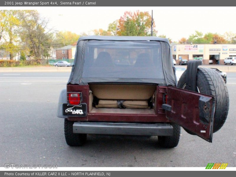 Sienna Pearl / Camel 2001 Jeep Wrangler Sport 4x4