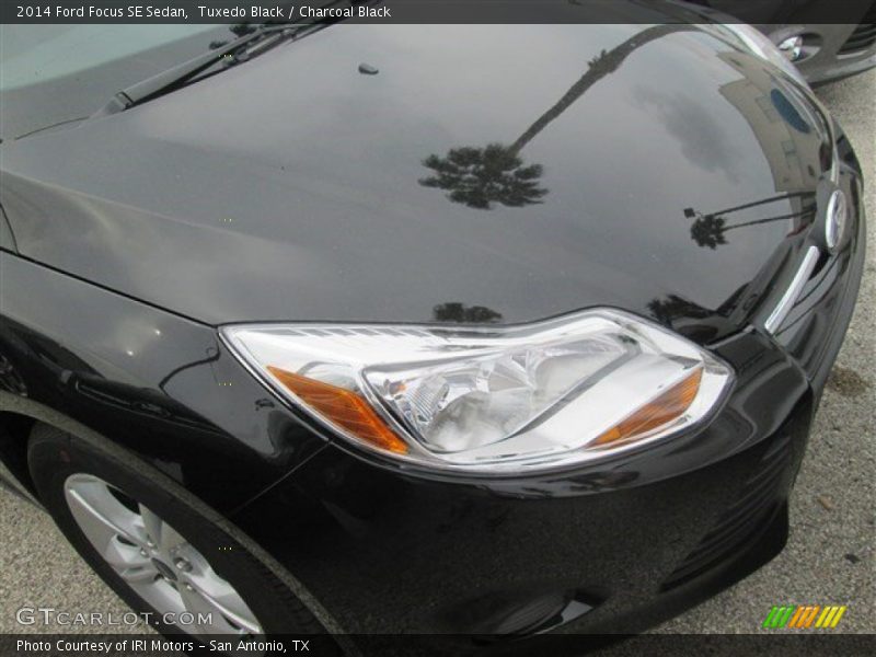Tuxedo Black / Charcoal Black 2014 Ford Focus SE Sedan
