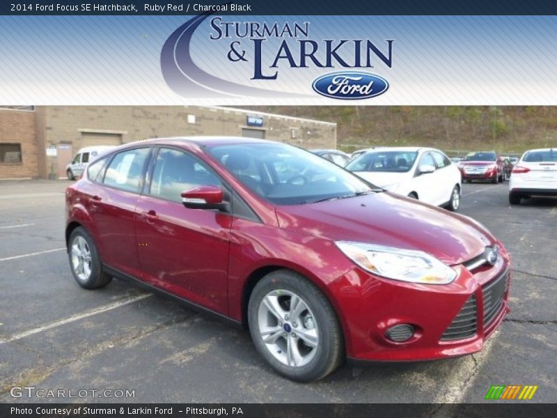 Ruby Red / Charcoal Black 2014 Ford Focus SE Hatchback