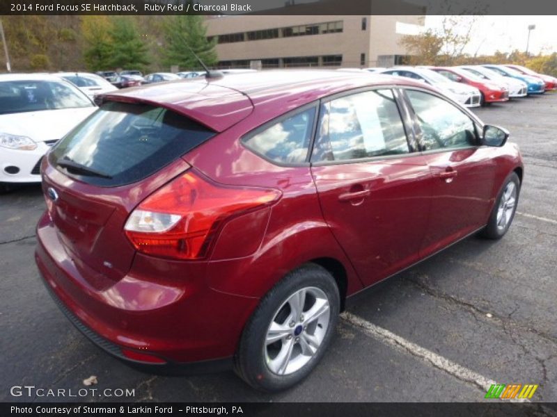 Ruby Red / Charcoal Black 2014 Ford Focus SE Hatchback