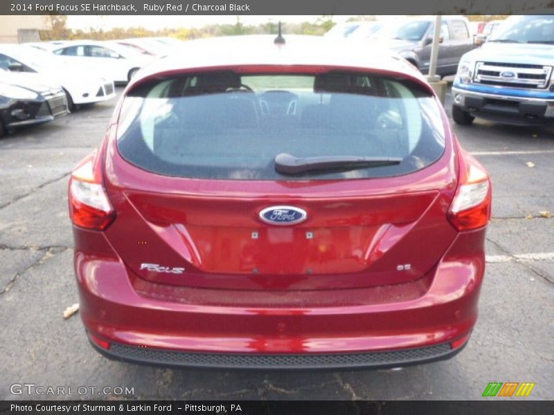 Ruby Red / Charcoal Black 2014 Ford Focus SE Hatchback