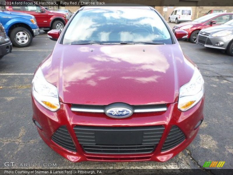 Ruby Red / Charcoal Black 2014 Ford Focus SE Hatchback