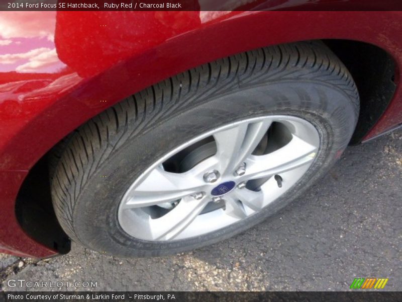 Ruby Red / Charcoal Black 2014 Ford Focus SE Hatchback