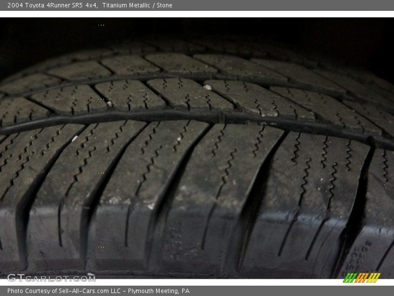 Titanium Metallic / Stone 2004 Toyota 4Runner SR5 4x4