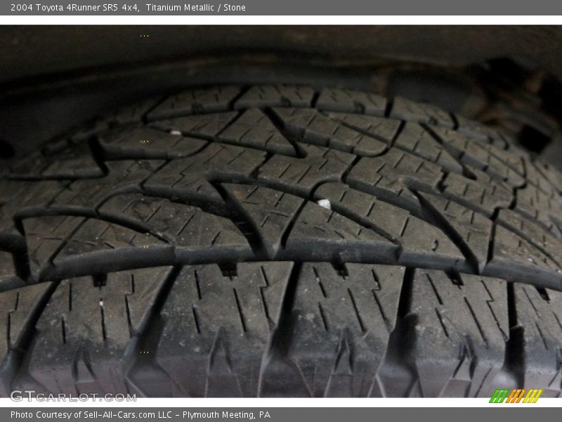 Titanium Metallic / Stone 2004 Toyota 4Runner SR5 4x4