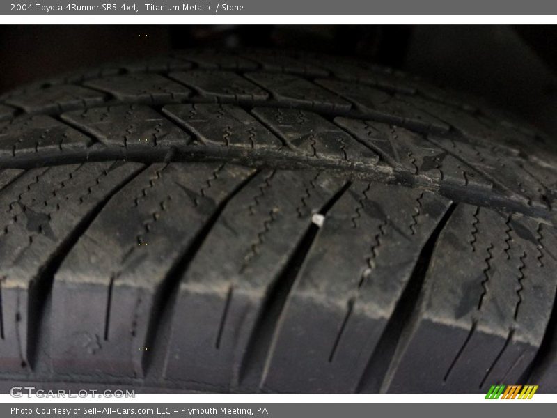 Titanium Metallic / Stone 2004 Toyota 4Runner SR5 4x4