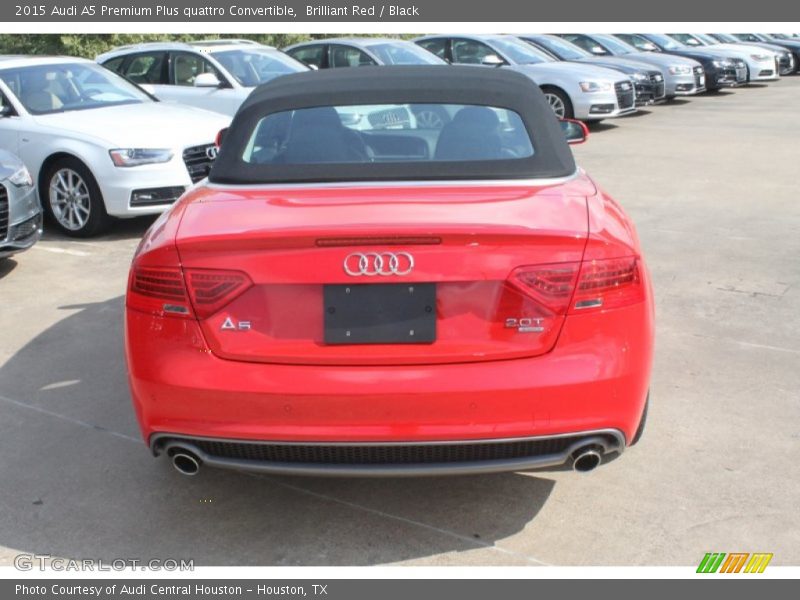 Brilliant Red / Black 2015 Audi A5 Premium Plus quattro Convertible