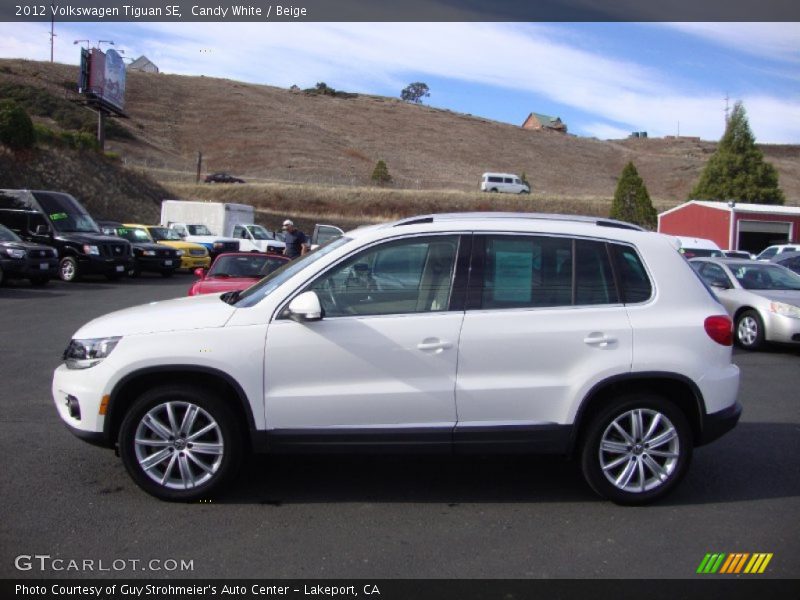 Candy White / Beige 2012 Volkswagen Tiguan SE