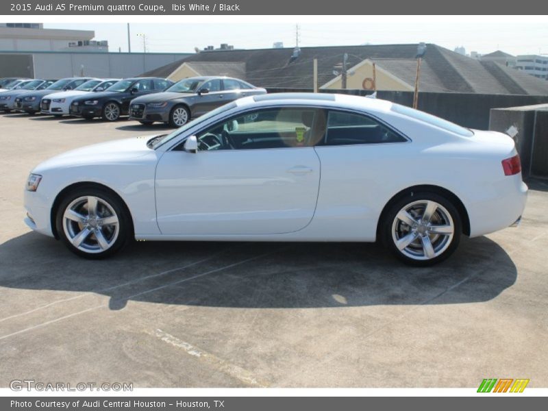 Ibis White / Black 2015 Audi A5 Premium quattro Coupe