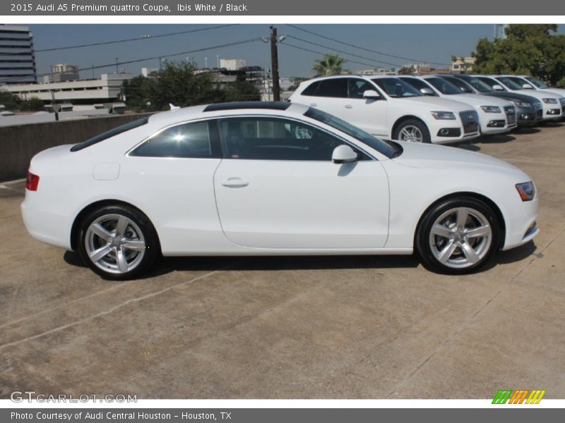  2015 A5 Premium quattro Coupe Ibis White