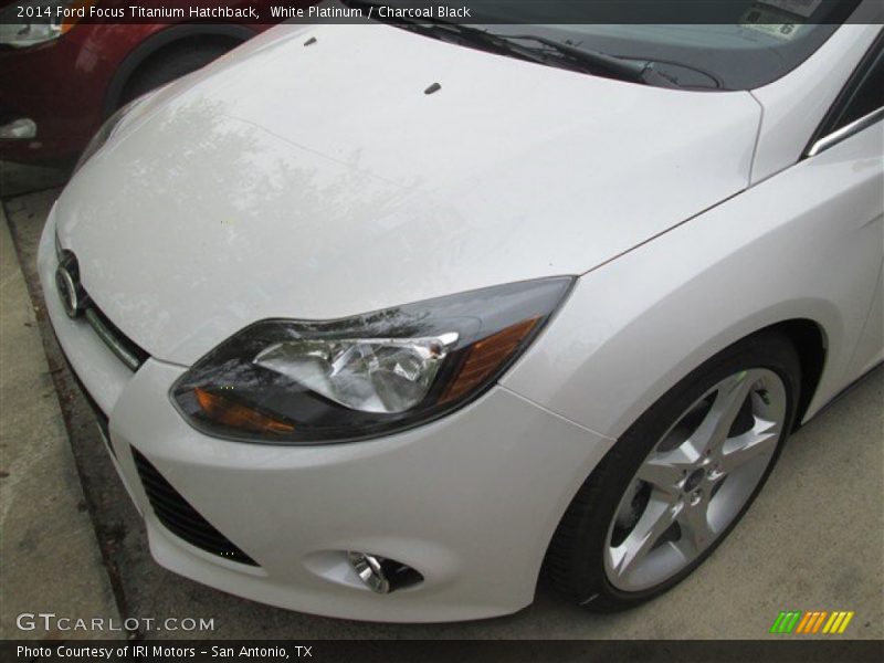 White Platinum / Charcoal Black 2014 Ford Focus Titanium Hatchback
