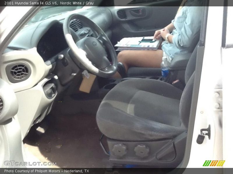 Nordic White / Gray 2001 Hyundai Santa Fe GLS V6