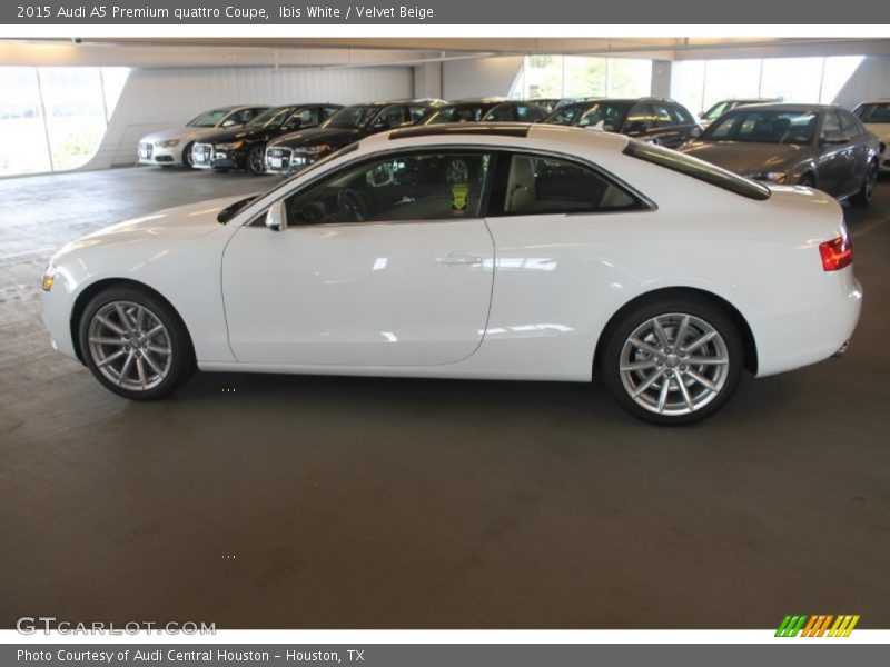 Ibis White / Velvet Beige 2015 Audi A5 Premium quattro Coupe