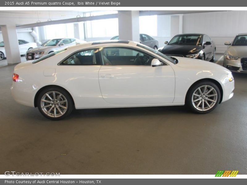 Ibis White / Velvet Beige 2015 Audi A5 Premium quattro Coupe