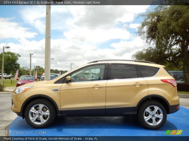Karat Gold / Medium Light Stone 2014 Ford Escape SE 2.0L EcoBoost