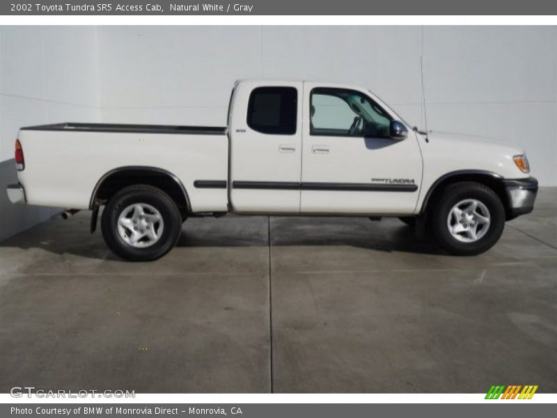 Natural White / Gray 2002 Toyota Tundra SR5 Access Cab