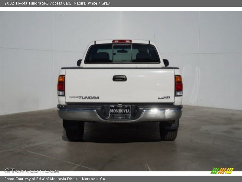 Natural White / Gray 2002 Toyota Tundra SR5 Access Cab