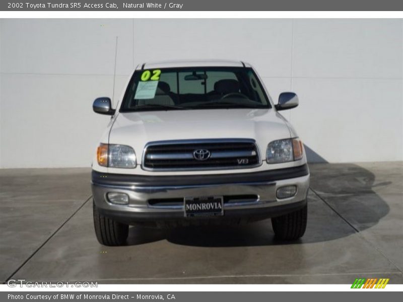 Natural White / Gray 2002 Toyota Tundra SR5 Access Cab