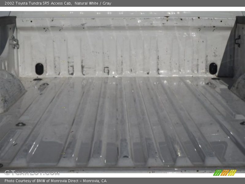 Natural White / Gray 2002 Toyota Tundra SR5 Access Cab