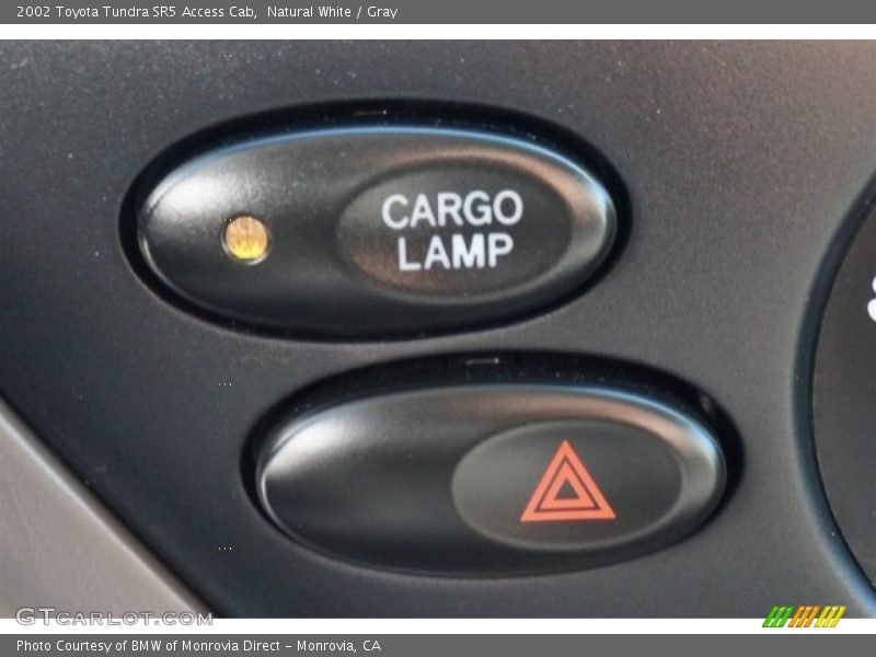 Natural White / Gray 2002 Toyota Tundra SR5 Access Cab
