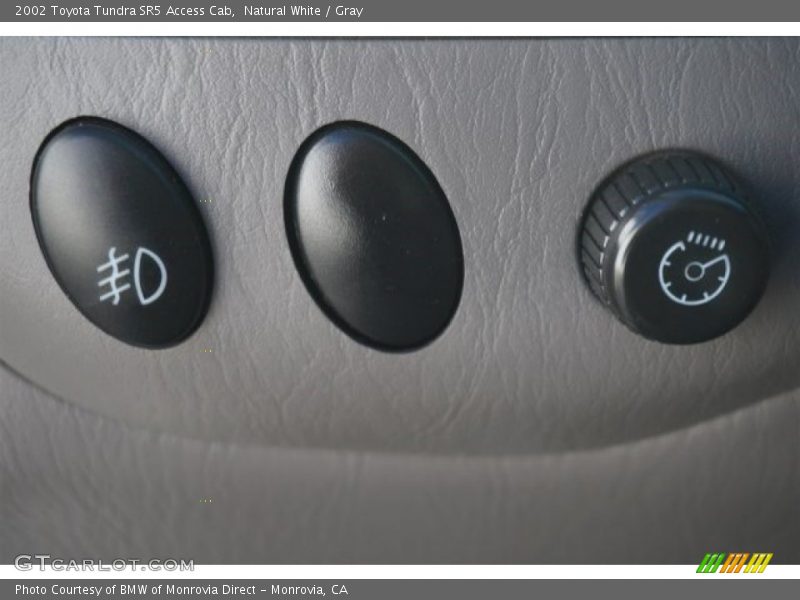 Natural White / Gray 2002 Toyota Tundra SR5 Access Cab
