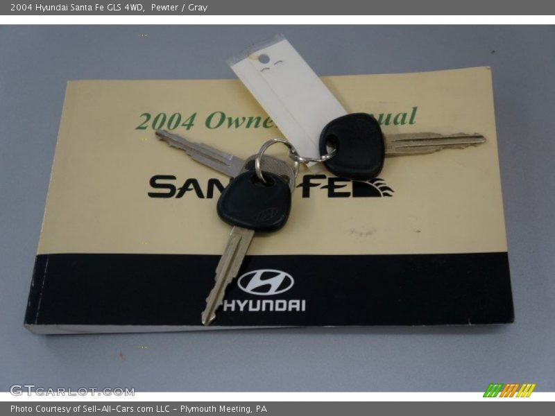 Pewter / Gray 2004 Hyundai Santa Fe GLS 4WD