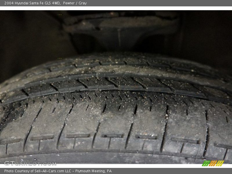 Pewter / Gray 2004 Hyundai Santa Fe GLS 4WD