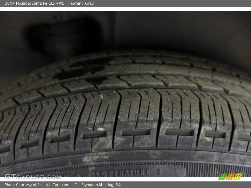 Pewter / Gray 2004 Hyundai Santa Fe GLS 4WD