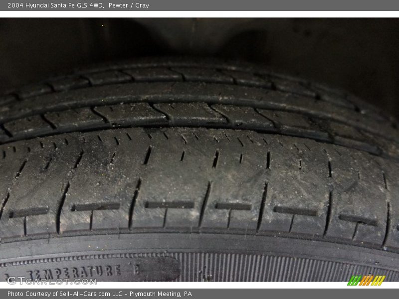 Pewter / Gray 2004 Hyundai Santa Fe GLS 4WD