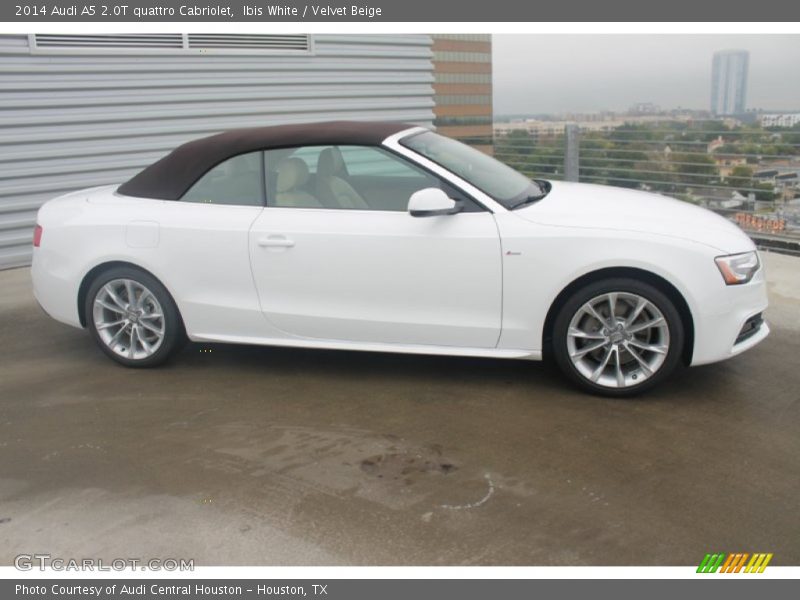  2014 A5 2.0T quattro Cabriolet Ibis White