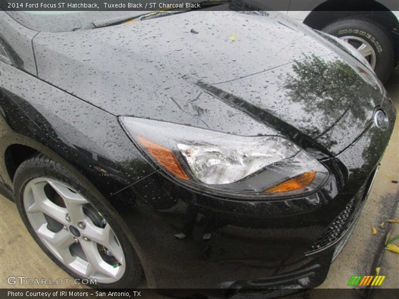 Tuxedo Black / ST Charcoal Black 2014 Ford Focus ST Hatchback