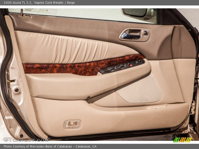Door Panel of 2000 TL 3.2