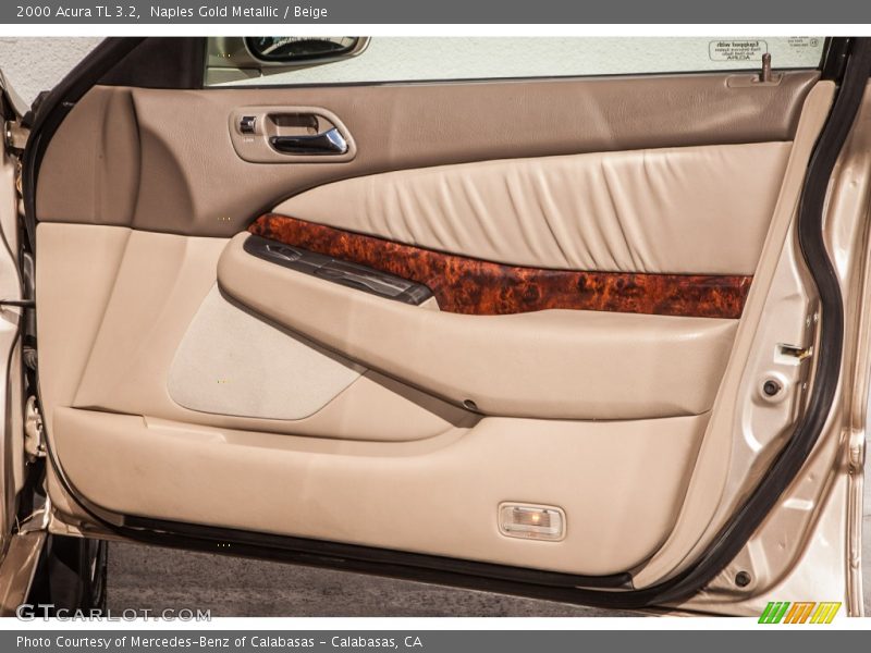 Door Panel of 2000 TL 3.2