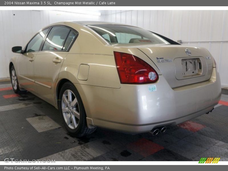 Champagne Mist Metallic / Cafe Latte 2004 Nissan Maxima 3.5 SL