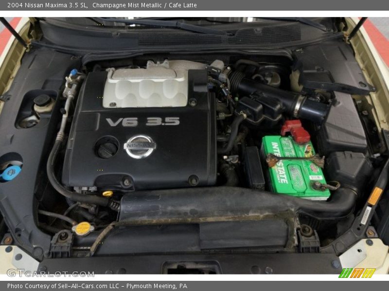 Champagne Mist Metallic / Cafe Latte 2004 Nissan Maxima 3.5 SL