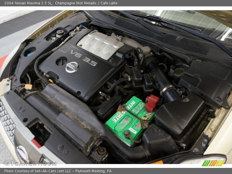 Champagne Mist Metallic / Cafe Latte 2004 Nissan Maxima 3.5 SL