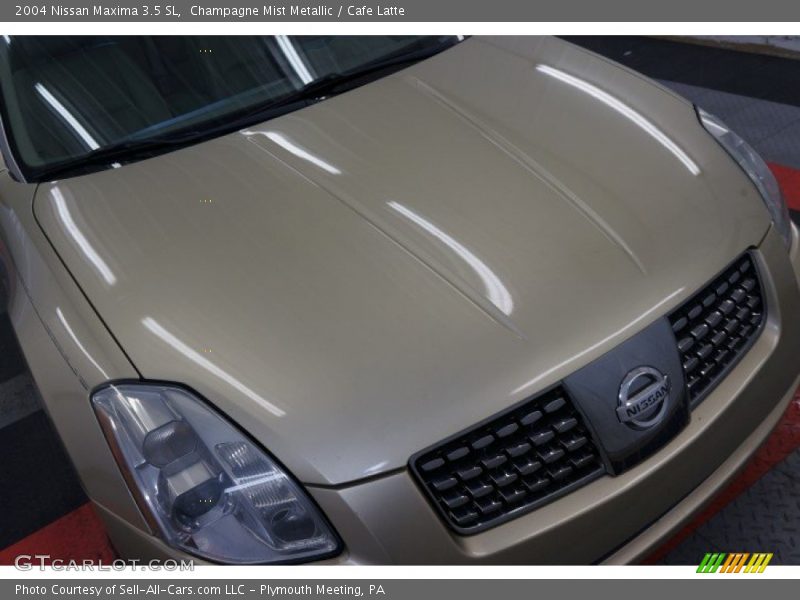 Champagne Mist Metallic / Cafe Latte 2004 Nissan Maxima 3.5 SL