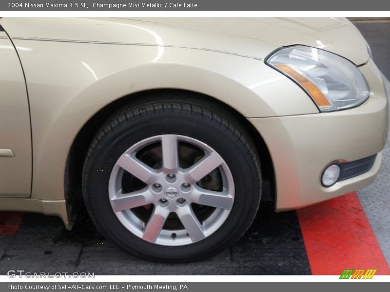 Champagne Mist Metallic / Cafe Latte 2004 Nissan Maxima 3.5 SL