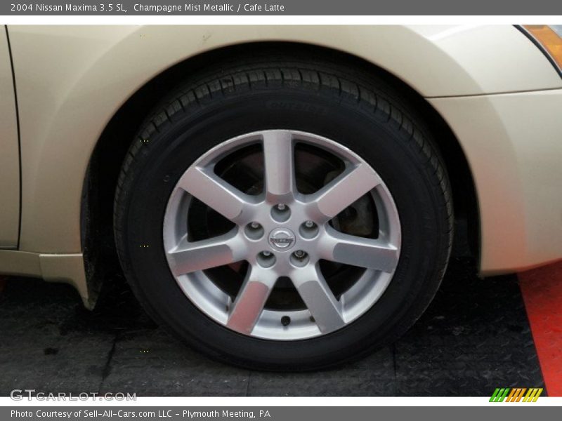 Champagne Mist Metallic / Cafe Latte 2004 Nissan Maxima 3.5 SL