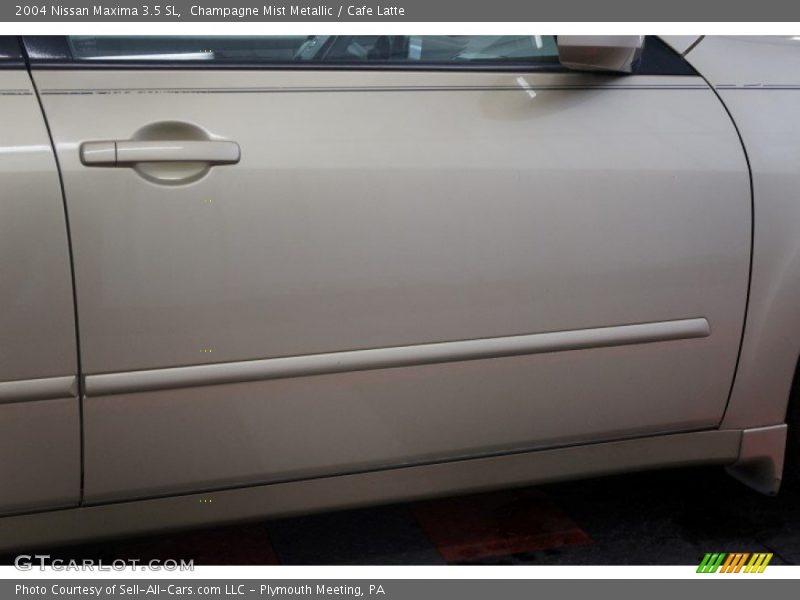 Champagne Mist Metallic / Cafe Latte 2004 Nissan Maxima 3.5 SL