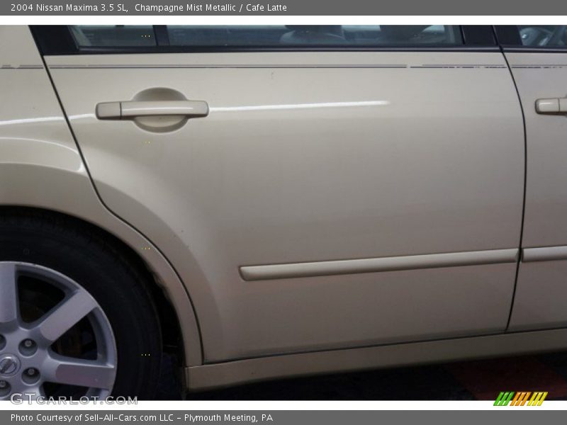 Champagne Mist Metallic / Cafe Latte 2004 Nissan Maxima 3.5 SL
