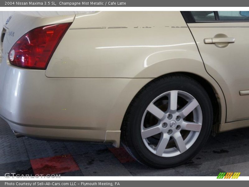 Champagne Mist Metallic / Cafe Latte 2004 Nissan Maxima 3.5 SL